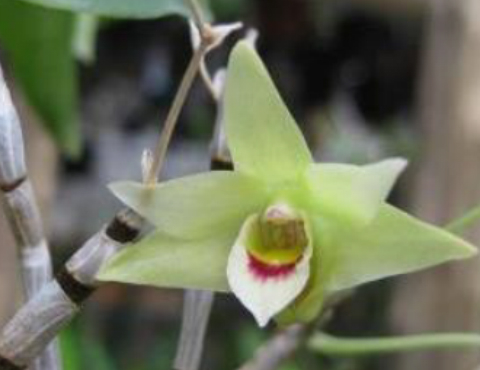 Objetivo de servicio3